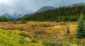 Moose-Meadows-Smith-Doreen-Spray-Road-Peter-Lougheed-Provincial-Park-Kananaskis-Country-Alberta-4-300x163 Moose Meadows