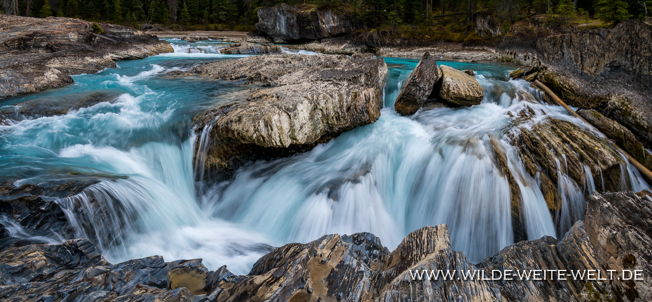 Johnstone-Canyon-Waterfall-Banff-National-Park-Alberta-11 Wasserfälle / Waterfalls in den Canadian Rocky Mountains [Alberta]
