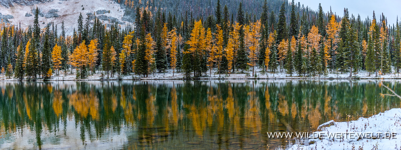 Agnes-Lake-Lake-Louise-Banff-National-Park-Alberta-5-1 Fall Color of Larches - Herbstfärbung der Lärchen im Banff National Park: Agnes Lake / Big Beehive & Larch Valley & Sunshine Meadows & Taylor / O'Brien Lake & Arethusa Circuit