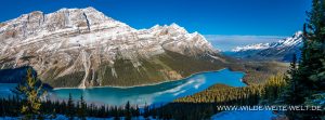 Peyto-Lake-Icefields-Parkway.-Banff-National-Park-Alberta-4-300x111 Peyto Lake