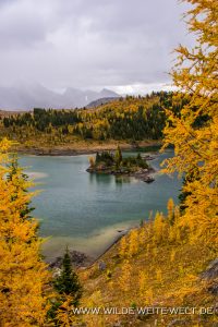 Rock-Isle-Lake-Sunshine-Meadows-Banff-National-Park-Alberta-11-200x300 Rock Isle Lake