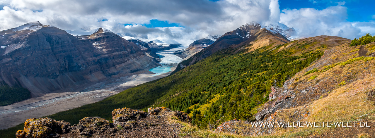 Athabasca-Glacier-Wilcox-Ridge-Trail-Jasper-National-Park-Alberta-3 Gletscher / Glaciers: Columbia Icefield im Jasper & Banff National Park [Alberta]