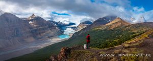 Saskatchewan-Glacier-Parker-Ridge-Trail-Banff-National-Park-Alberta-4-300x121 Saskatchewan Glacier