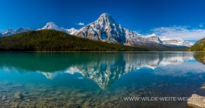 Upper-Waterfowl-Lake-mit-Mt.-Chephren-Icefields-Parkway.-Banff-National-Park-Alberta-3-300x158 Upper Waterfowl Lake mit Mt. Chephren