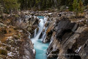 Yoho-River-Gorge-Falls-Yoho-Valley-Yoho-National-Park-British-Columbia-7-300x200 Yoho River Gorge Falls