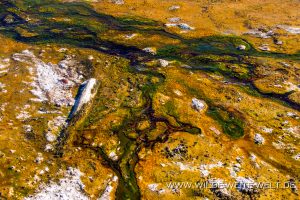 Alvord-Hot-Spring-Alvord-Desert-Oregon-22-300x200 Alvord Hot Spring