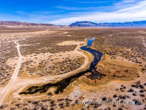 Bog-Hot-Spring-Denio-Nevada-6-300x225 Bog Hot Spring