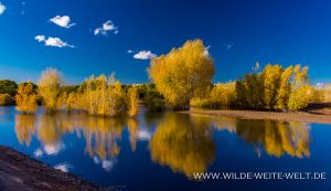 Fall-Color-Cibola-National-Wildlife-Refuge-Arizona-2-300x173 Fall Color