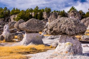 Valle-de-los-Hongos-San-Ignacio-Chihuahua-17-300x200 Valle de los Hongos