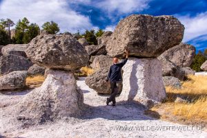 Valle-de-los-Hongos-San-Ignacio-Chihuahua-22-300x200 Valle de los Hongos