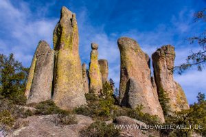 Valle-de-los-Monjes-San-Ignacio-Chihuahua-18-300x200 Valle de los Monjes