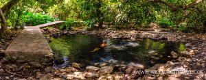 Natural-Pool-Aguas-Termales-Kauar-Tikuri-Nuevo-Urecho-Michoacan-3-300x117 Natural Pool