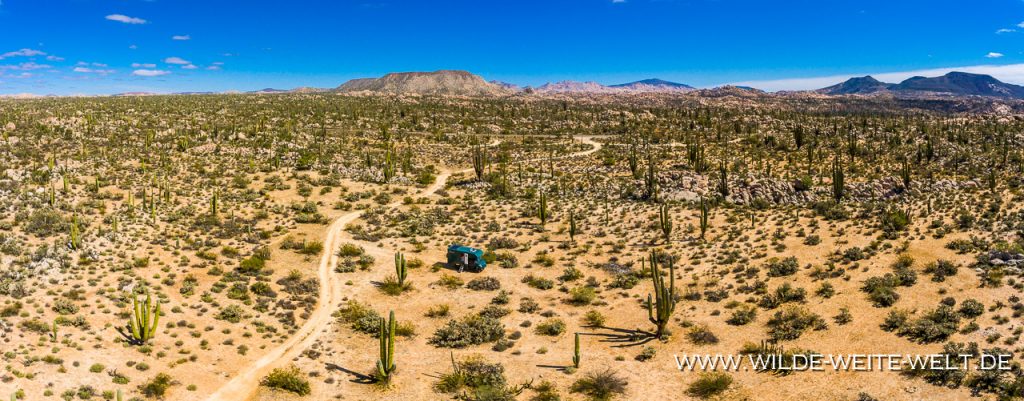 Pine-Park-Dixie-National-Forest-Utah-1024x465 Iveco Daily 4x4: Foto-Gallery # 3 Offroad-Camper - Southern USA & Baja California (Mexico)