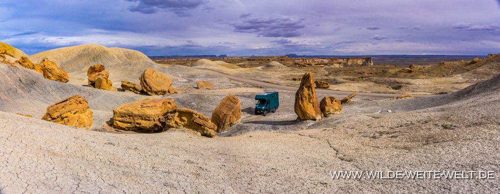 Desert-Flowers-Coyote-Canyon-Anza-Borrego-State-Park-California-1024x518 Iveco Daily 4x4: Foto-Galerie # 4 Offroad-Camper Willy - Canada & Alaska