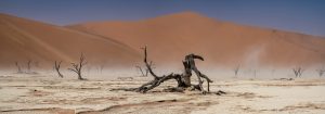 Deadvlei-Sossusvlei-Namib-Naukluft-National-Park-Hardap-Namibia-12-300x105 Deadvlei