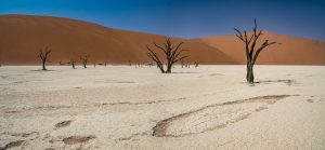 Deadvlei-Sossusvlei-Namib-Naukluft-National-Park-Hardap-Namibia-46-300x139 Deadvlei