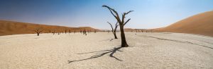 Deadvlei-Sossusvlei-Namib-Naukluft-National-Park-Hardap-Namibia-74-300x98 Deadvlei
