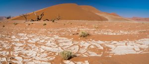 Dune-45-Sossusvlei-Namib-Naukluft-National-Park-Hardap-Namibia-38-300x129 Dune 45