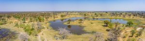 Jesses-Pool-Moremi-Game-Reserve-Botswana-10-300x86 Jesses Pool