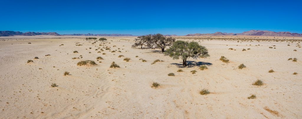 Deadvlei-Sossusvlei-Namib-Naukluft-National-Park-Hardap-Namibia-74-1024x335 Namibia's Landscapes