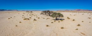 Namib-Wueste-Tsau-Khaeb-National-Park-B4-Karas-Suedafrika-13-300x119 Namib Wüste