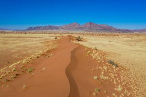 Namib-Wueste-mit-Sandduenen-C27-Hardap-Namibia-7-300x200 Namib Wüste mit Sanddünen