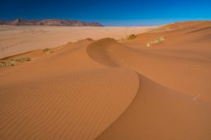 Namib-Wueste-mit-Sandduenen-Namib-Naukluft-National-Park-D707-Karas-Namibia-48-300x200 Namib Wüste mit Sanddünen
