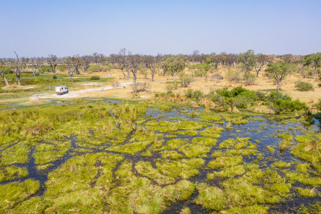 Elefant-Xakanaxa-Lagoon-Moremi-Game-Reserve-Botswana-6-1024x683 Eindrücke Botswana