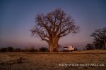 Übernachtungsplatz - Baobab Camp, Chitake Spring, Mana Pools National Park, Zimbabwe