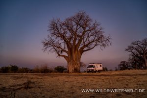 Uebernachtungsplatz-Baobab-Camp-Chitake-Spring-Mana-Pools-National-Park-Zimbabwe-2-300x200 Übernachtungsplatz